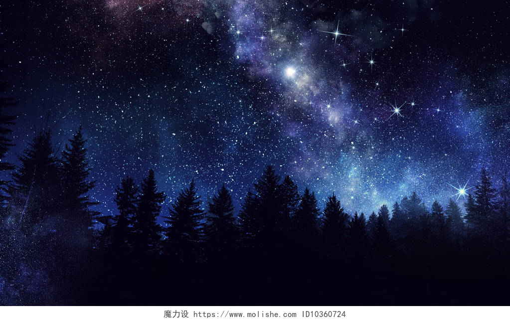 夜晚森林和星空森林夜景